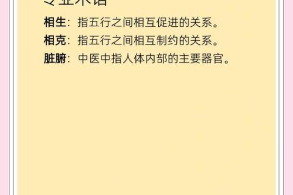 探讨锦的五行属性及其影响