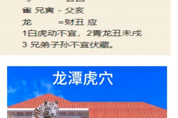 改善高层住宅风水的小妙招