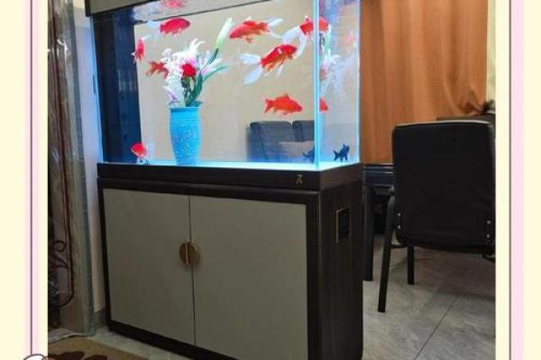 风水大师亲授：鱼缸风水布局图解，招财进宝秘法大公开！
