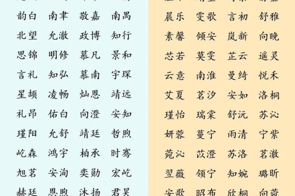聪明伶俐，活力四溢——双胎男宝宝名字精选