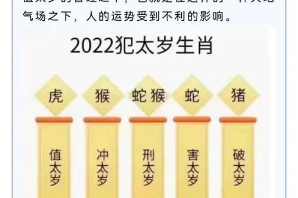 属鼠人2018年运势大揭秘：财运亨通，事业飞跃