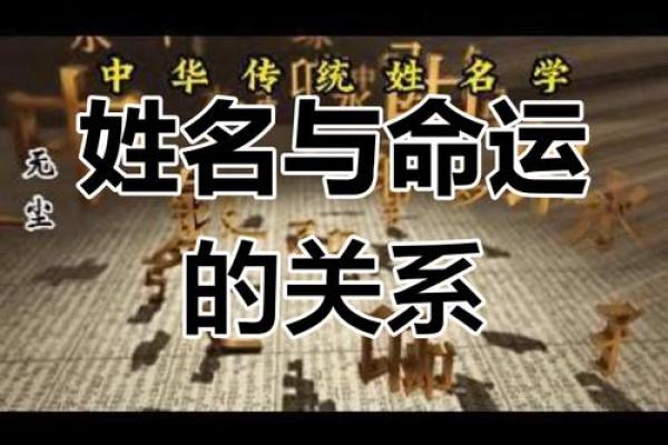 周易公司起名软件下载：轻松获取符合命理的企业名称