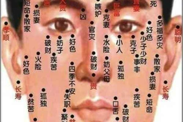 掌中痣相：揭秘你的命运轨迹，快来对照一下吧！