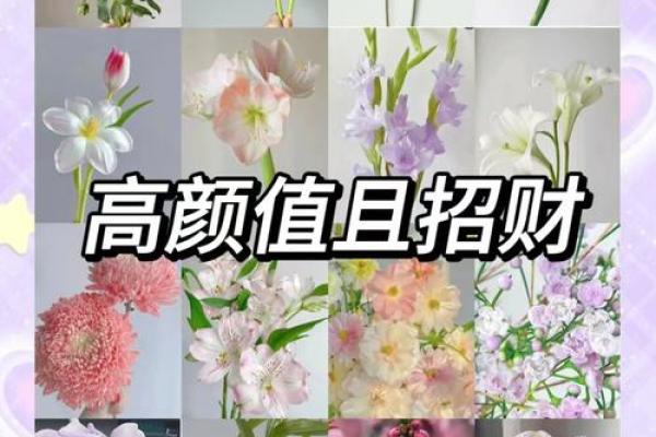 招财旺运必备：风水山水花秘境图鉴