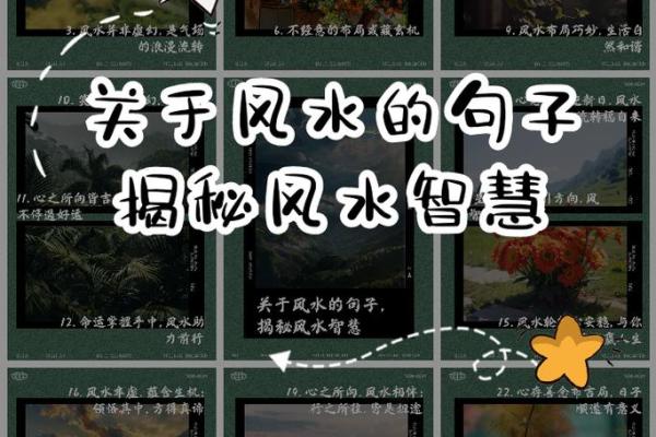 揭秘电视背景风水奥秘，招财秘籍大公开！