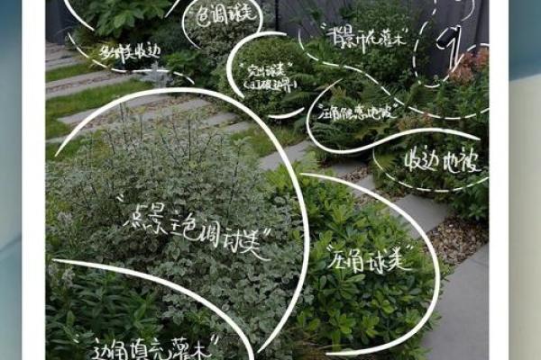 植物公司创意命名灵感大全