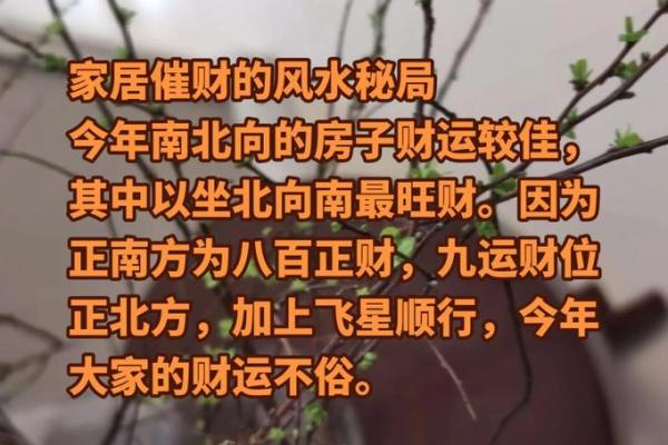 家居风水必看！2015年布局指南，助你财运亨通
