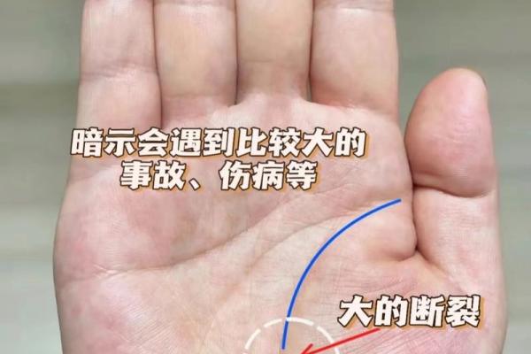 金库在手，财运亨通：手相解读让你财运滚滚来