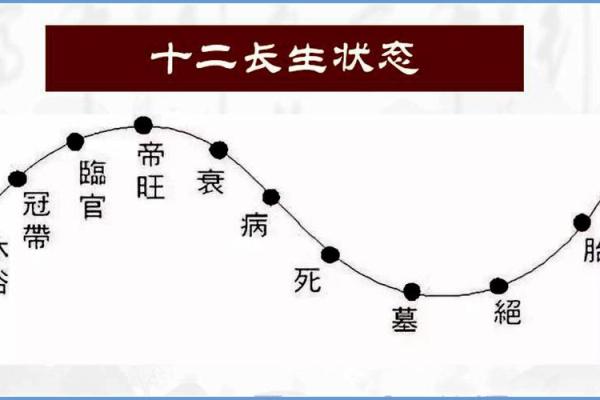 长生之理：五行中的长与命运