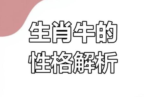 揭秘命运密码：李洪成教你掌控人生走向