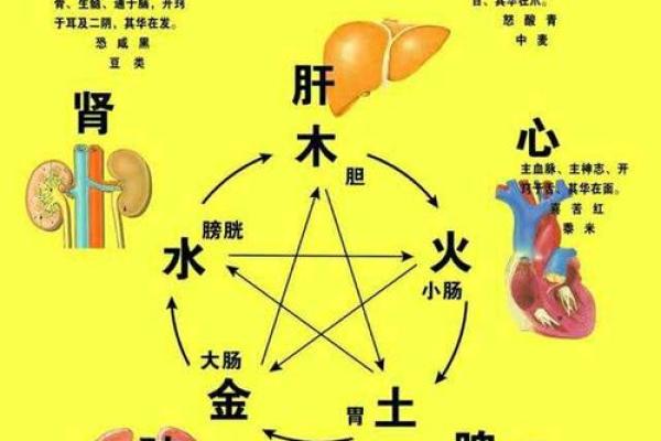 解读米字的五行归属