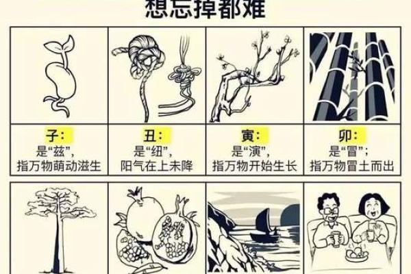 天生绝配，命理揭秘！