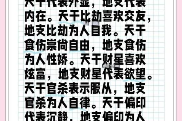 一看就上手工地支木图纸解读大揭秘