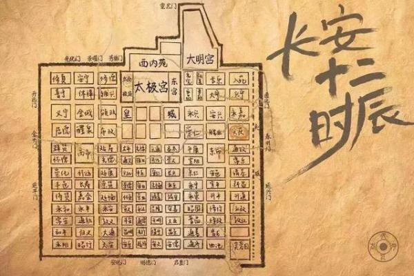 一看就上手工地支木图纸解读大揭秘