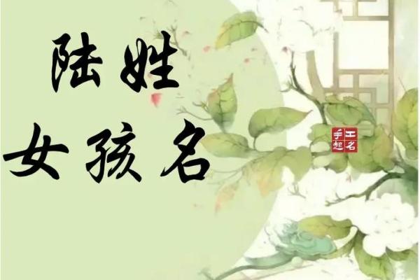 陆姓名的起源与寓意解枿