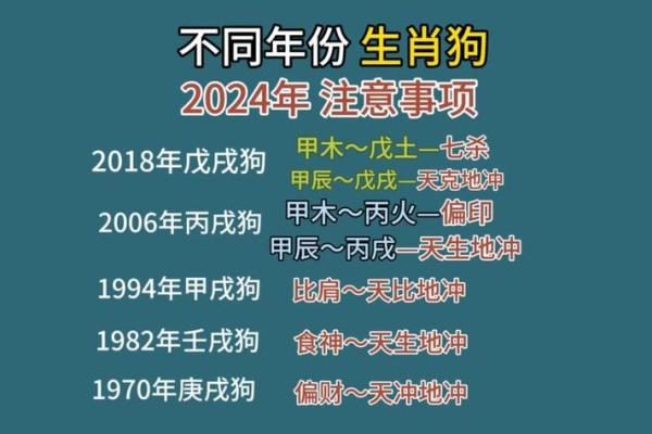 属狗运势每月走势分析