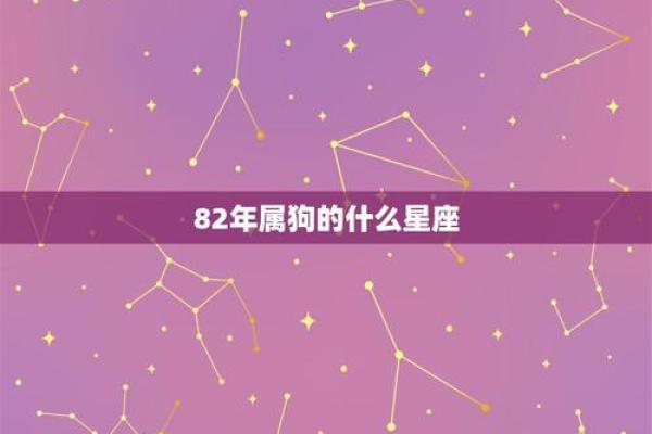 属狗运势每月走势分析