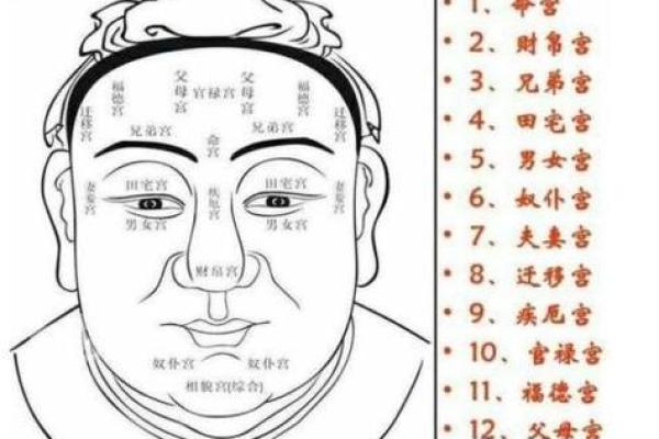 面相解码：洞察体质的神秘之门