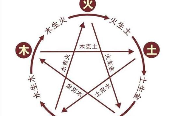 动五行的属性解析