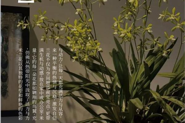 五行属土的颜色选择与家居风水