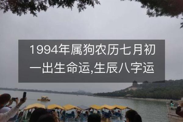 探索狗的生辰八字对未来的影响