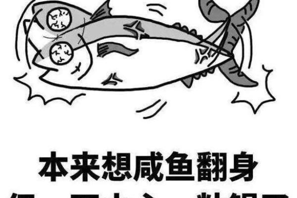 姓名笔画揭秘：运势爆棚的爆款人生