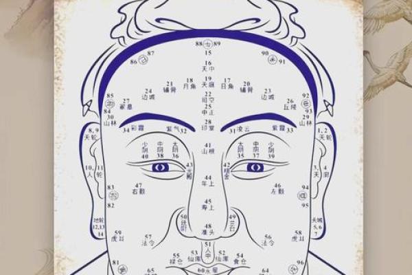 鼻梁高耸面相解析：富贵与智慧并存之谜