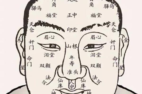 鼻梁高耸面相解析：富贵与智慧并存之谜