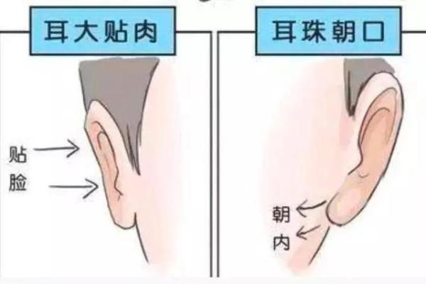 反弓耳面相揭秘：命运多舛还是天生贵命？