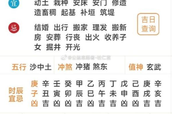 黄历宝典：天干地支日历查询，揭秘每日运势