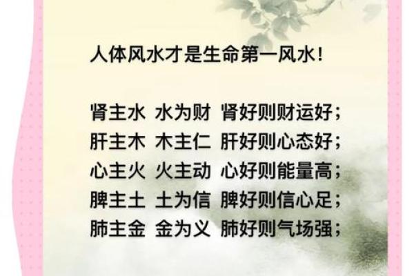 命理与风水：如何通过学问改善生活质量