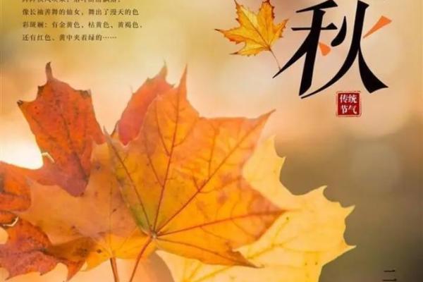 立秋命理指南：抓住立秋节点，提升运势的绝佳时机！