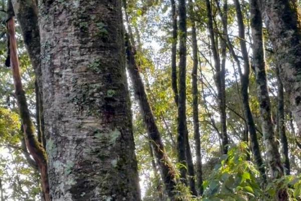 贵阳大山风水学的奥秘与实践探讨