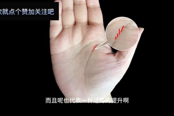 识破命运：揭秘美女手相的神奇奥秘