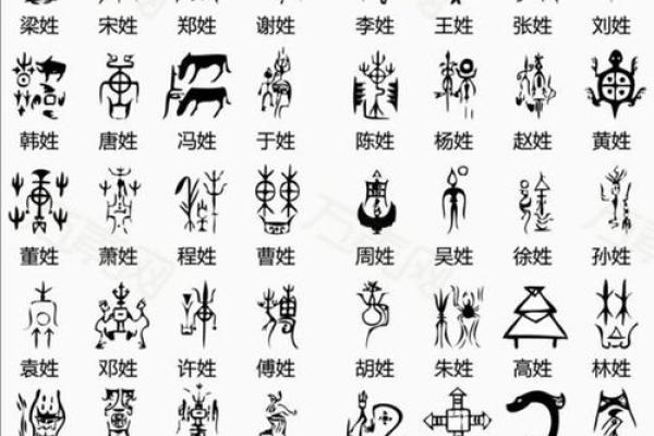 姓氏变迁史：探寻中国姓名的发展脉绿