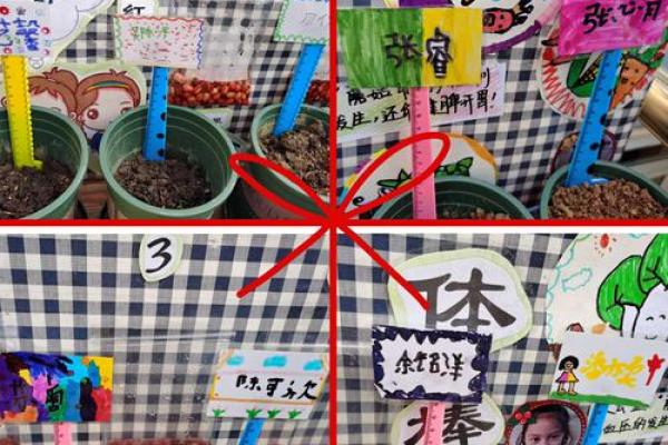 姓氏变迁史：探寻中国姓名的发展脉绿