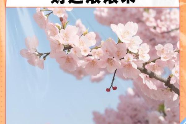 财源滚滚来，风水大师教你如何摆放招财鱼头朝向！