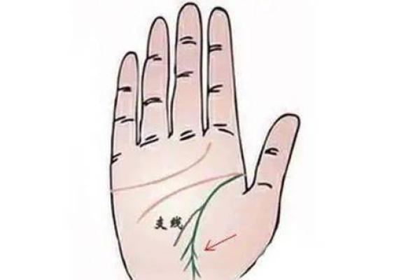 手掌虎口看命运：揭秘你的运势密码