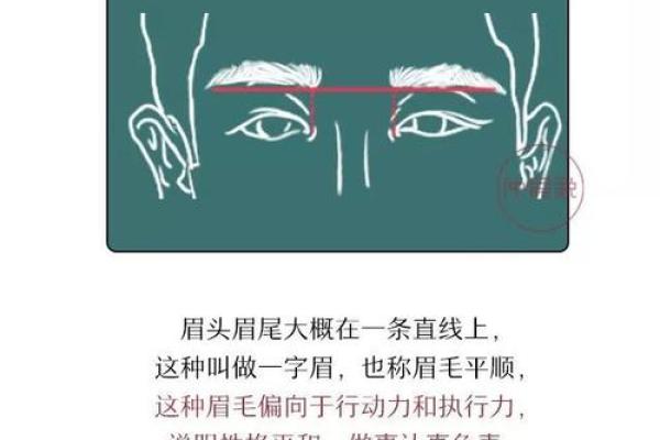 手掌虎口看命运：揭秘你的运势密码