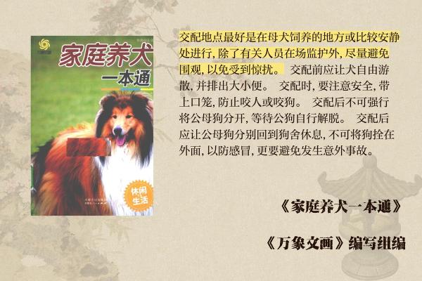 探寻狗与植物在传统文化中的联系与传承