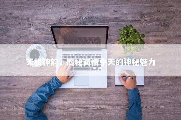 天相神韵，揭秘面相中天的神秘魅力