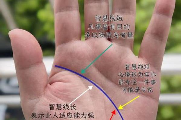看掌纹识命运：爆款手相线图大揭秘