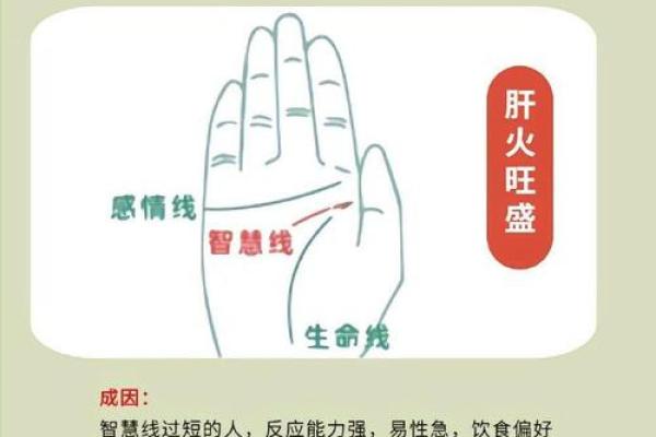 看掌纹识命运：爆款手相线图大揭秘