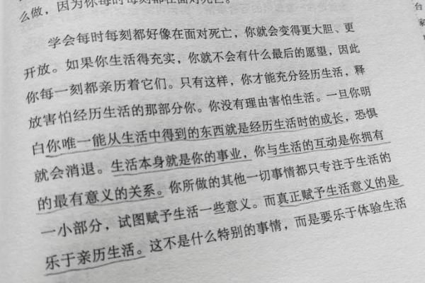 从静溪到内心的平和，探索生命中的温柔流淌