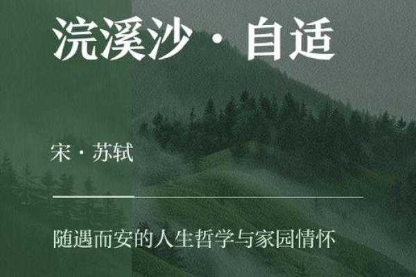 从静溪到内心的平和，探索生命中的温柔流淌
