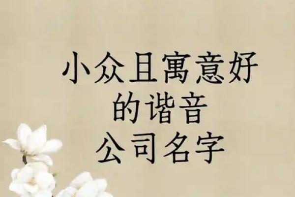 带谐音的名字如何巧妙取用，寓意深刻又有趣