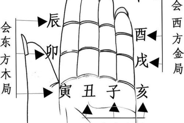 手相识人：男女有别，左掌右掌大不同