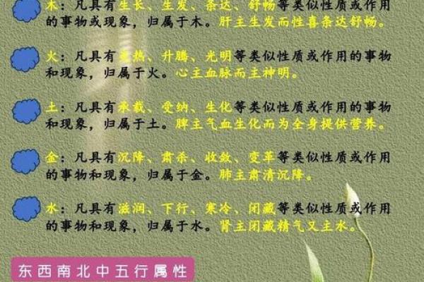 知的五行与人生哲学