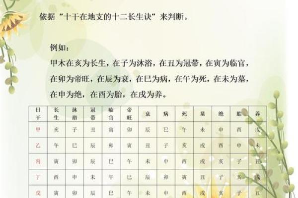 五行理论中的初字解析