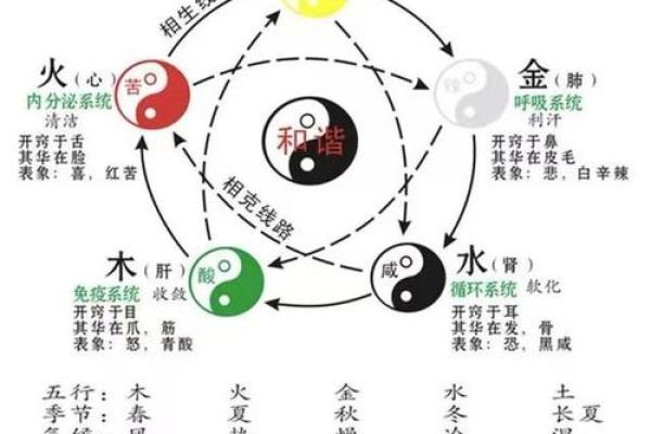 如何从八字五行看出自己缺乏哪些元素